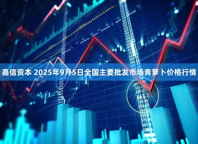 嘉信资本 2025年9月5日全国主要批发市场青萝卜价格行情