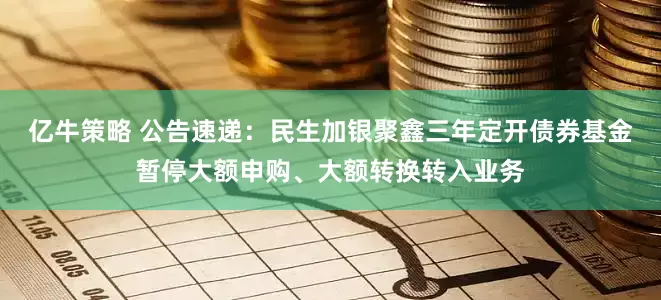 亿牛策略 公告速递：民生加银聚鑫三年定开债券基金暂停大额申购、大额转换转入业务