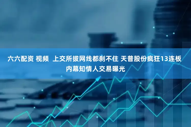 六六配资 视频  上交所拔网线都刹不住 天普股份疯狂13连板 内幕知情人交易曝光